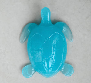Turquoise Sea Turtle