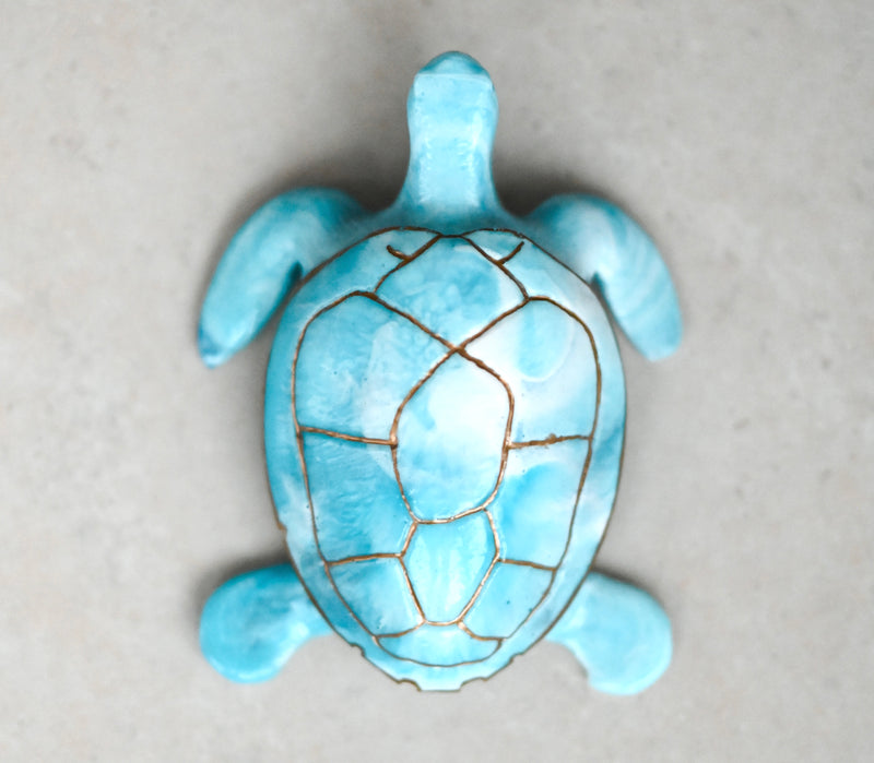 Gold Outlined Sea Turtle