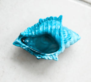 Turquoise Giant Conch
