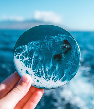 Sea Creature Coasters