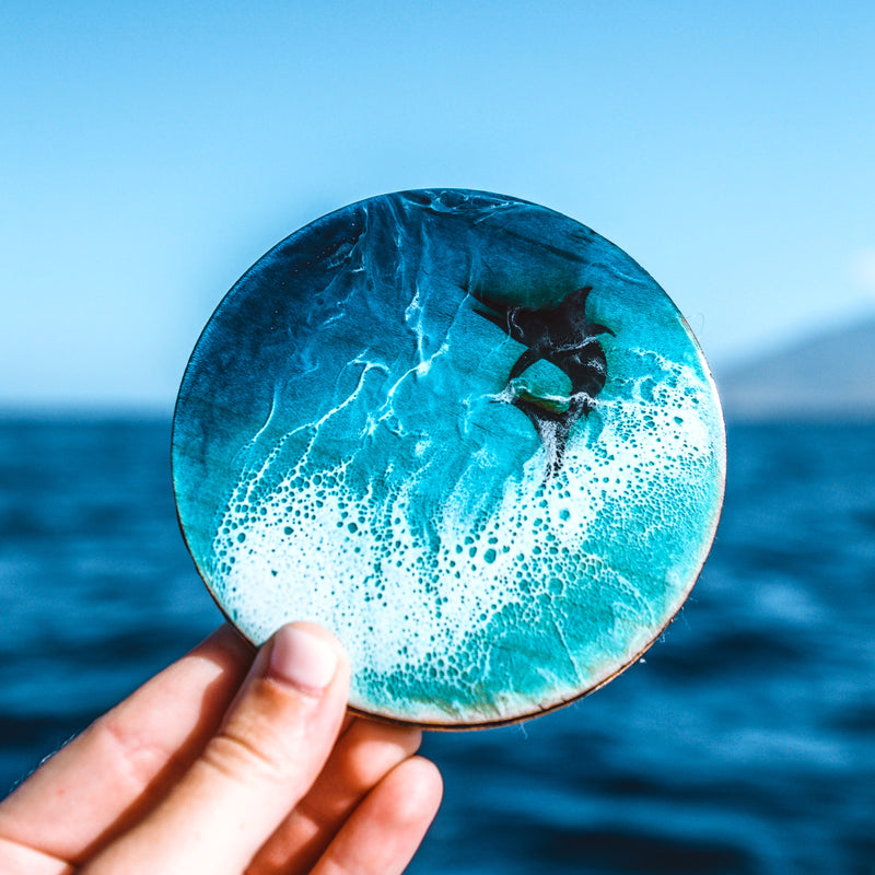 Sea Creature Coasters